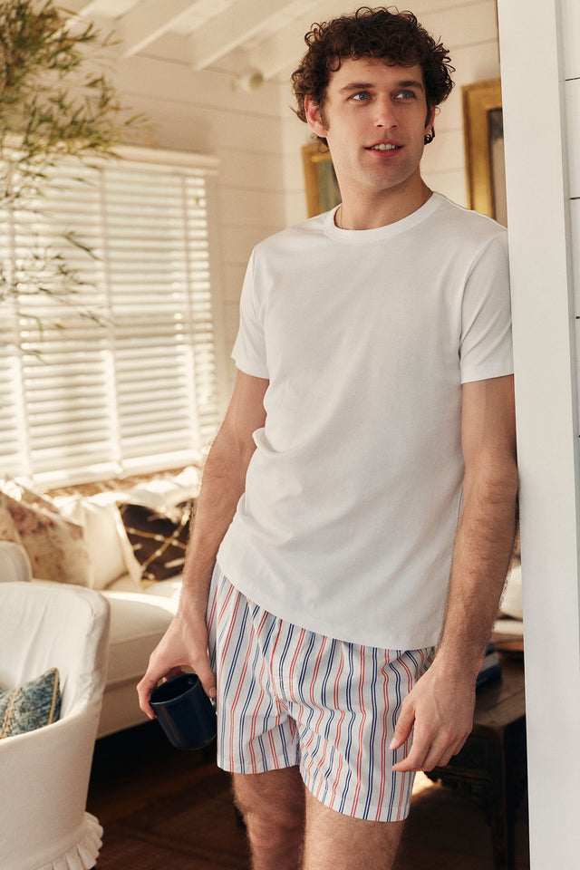 Webcrop_LAKE_Q2_Summer6_Poplin_MensBoxer_LapisConfectionStripe_049